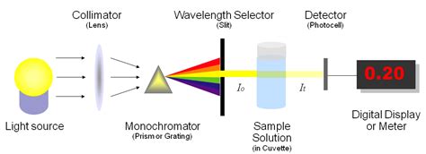 quantitative spectrophotometry|Spectrophotometry .